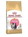 Comparaison des meilleurs produits pour chatons Persans et Ragdoll à donner