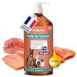 Comparaison des meilleures marques de vitamine E pour chien : guide d'achat pour prendre soin de votre animal de compagnie