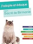 Guide d'adoption du Sacré de Birmanie : Comparaison des meilleurs produits pour votre nouveau compagnon à quatre pattes