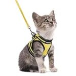 Comparatif des selles jaunes pour chaton : Trouvez le meilleur produit pour votre compagnon félin!