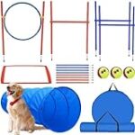 Coût de l'agility pour chien : Analyse et comparaison des meilleurs produits pour animaux de compagnie