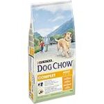 Les meilleurs produits pour animaux de compagnie pour votre chow chow croisé : analyse et comparaison