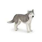 Comparatif des meilleurs produits pour animaux de compagnie pour Malamute croisé Husky : Le guide complet