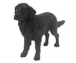 Les Meilleurs Produits pour Chiot Flat Coated Retriever : Guide d'Analyse et de Comparaison