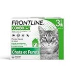 Top 5 des produits essentiels pour un chaton de 3 semaines : comparaison et analyse