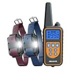 Comparatif des meilleurs colliers de dressage pour chien de chasse : guide d'achat pour votre compagnon à quatre pattes