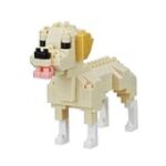 Les Meilleurs Produits pour Chouchouter Votre Mini Labrador Retriever : Comparaison et Analyse