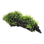 Comparaison des meilleures plantes sur racine pour aquarium : Le choix idéal pour vos poissons de compagnie!