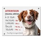 Comparaison des meilleurs produits pour animaux de compagnie pour votre Epagneul Breton croisé : Trouvez les options idéales pour votre fidèle compagnon!