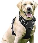 Les 10 meilleurs harnais de dressage pour chien : Analyse et comparaison des produits incontournables pour votre compagnon à quatre pattes