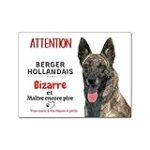 Analyse et comparaison des meilleurs produits pour animaux de compagnie pour Berger hollandais croisé Staffordshire Bull Terrier
