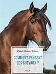 Comparaison des meilleurs produits pour chevaux : tout savoir sur le Gaviscon équin