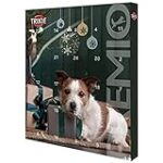 Comparatif des meilleurs calendriers pour chien : guide d'achat complet