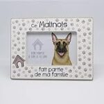 Le Malinois en appartement : Guide d'achat des meilleurs produits pour chiens de cette race dynamique