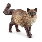 Comparatif des accessoires indispensables pour l'accueil d'un chat Ragdoll à vendre