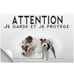 Comparatif des Meilleurs Produits pour Animaux de Compagnie pour Croisés Fox Terrier : Guide d'Achat