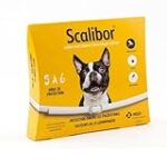 Comparatif des meilleures options de collier anti-tiques pour petits chiens : focus sur Scalibor