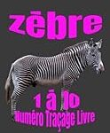 Top 10 : Petit zèbre mon compte - Analyse et comparaison des meilleurs produits pour animaux de compagnie