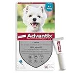 Analyse et Comparaison : Nexgard pour chien de 4 à 10 kg - Le meilleur choix pour votre animal de compagnie