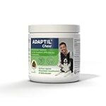 Comparatif des meilleurs produits pour animaux de compagnie : quelle posologie pour les comprimés Adaptil chez le chien ?