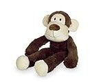 Les meilleures peluches pour chien XXL : Analyse et comparaison des produits pour animaux de compagnie