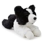 Comparatif des meilleurs produits pour Border Collie Poil Court Tricolore: Guide d'achat complet
