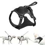 Les meilleurs harnais pour chien avec laisse intégrée : Analyse et comparaison des produits incontournables pour vos promenades!
