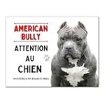 Comparatif des accessoires indispensables pour American Bully à vendre : les meilleurs produits pour choyer votre compagnon à quatre pattes Comparatif des accessoires indispensables pour American Bully à vendre : les meilleurs produits pour choyer votre compagnon à quatre pattes