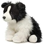 Les Meilleurs Produits pour Border Collie Tout Noir: Analyse et Comparaison