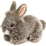 Comparatif des accessoires indispensables pour lapin angora anglais à vendre : les meilleurs produits pour choyer votre nouveau compagnon