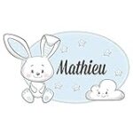 Les meilleurs produits pour animaux de compagnie pour votre lapine : Comment choisir le prénom idéal pour votre petite boule de poils femelle
