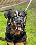 Comparatif des meilleures muselières cages métalliques pour animaux de compagnie