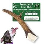 Les meilleurs jouets en bois pour chien : comparaison et analyse des options disponibles