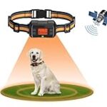 Clôture pour chien : astuces pour un système abordable et efficace Clôture pour chien : astuces pour un système abordable et efficace