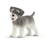 A vendre schnauzer nain : Guide d'achat des meilleurs produits pour votre nouveau compagnon à quatre pattes