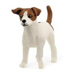 Comparatif des meilleurs produits pour animaux de compagnie adaptés au Jack Russell croisé Terrier