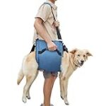 Comparatif des meilleurs harnais pour porter votre chien : guide d'achat pour les propriétaires d'animaux de compagnie