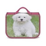 Guide d'achat des meilleurs produits de toilettage pour bichon : Comparaison des options indispensables pour le bien-être de votre animal de compagnie