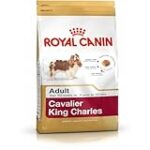 Guide d'achat pour les propriétaires de Cavalier King Charles croisé Bichon : Les meilleurs produits pour chouchouter votre compagnon à quatre pattes