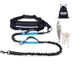 Les essentiels pour une randonnée réussie avec votre chien : analyse et comparaison des meilleurs produits pour animaux de compagnie