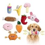 Guide d'achat pour chiot pointer de 2 mois : Comparaison des meilleurs produits pour animaux de compagnie