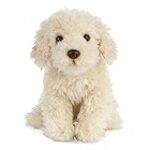 Labradoodle nain à vendre : Guide d'achat des meilleurs produits pour votre nouvel ami à quatre pattes