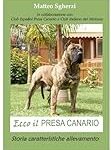 Élevage de Presa Canario : Guide complet pour choisir les meilleurs produits pour votre animal de compagnie