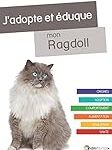 Guide d'adoption de Ragdoll : Comparaison des meilleurs accessoires pour votre nouveau compagnon félin