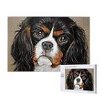 A donner cavalier king charles : Comparatif des meilleurs produits pour ce charmant compagnon à adopter