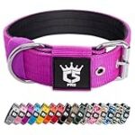 Comparatif des meilleurs colliers larges pour chien : choisissez le meilleur accessoire pour votre compagnon !