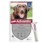 Bravecto pour chien 20-40kg : Analyse et comparaison des meilleurs produits pour animaux de compagnie