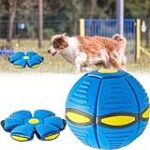 Comparatif des meilleures doggy balls pour divertir votre chien : lequel choisir ?