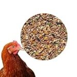 Les meilleurs graines pour poules pondeuses à petit prix : Comparatif et analyse de produits pour animaux de compagnie