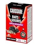 Attention aux produits pour animaux de compagnie contenant du morora poison : analyse et comparaison des meilleures alternatives